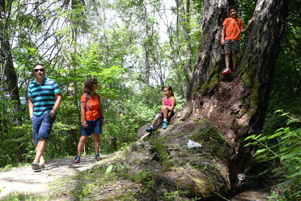 Randonnée en mountain bike sur les alpages de Thyon